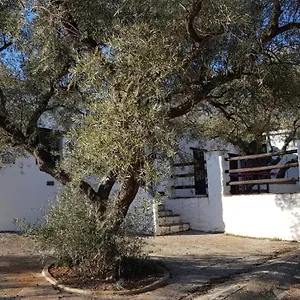 Gateway To The Alpujarras, 'cortijo Derry' , Orgiva Spain